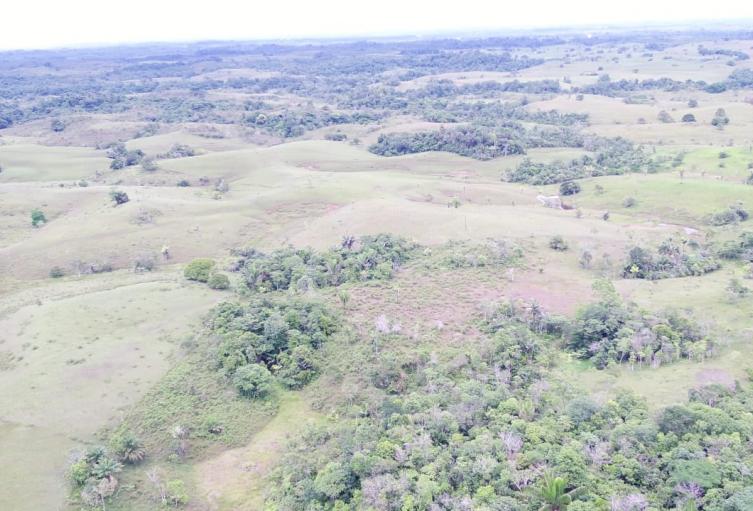 Panorámica de zonas de deforestación en el Caquetá