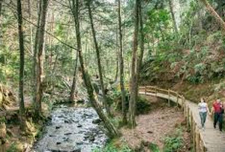 Ciudadanía casi lincha a presunto ladrón en el parque Arvi de Medellín