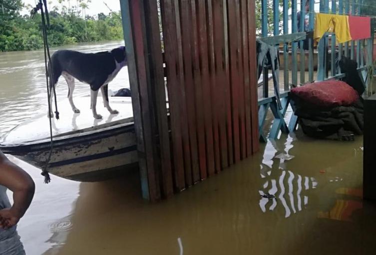 El agua ingresó a las viviendas ocasionando graves daños. 