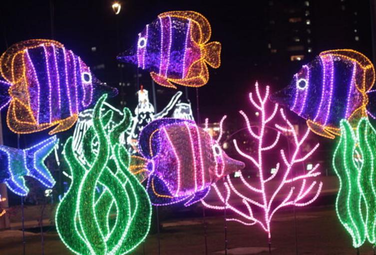 Referencia alumbrados Navideños en Medellín.