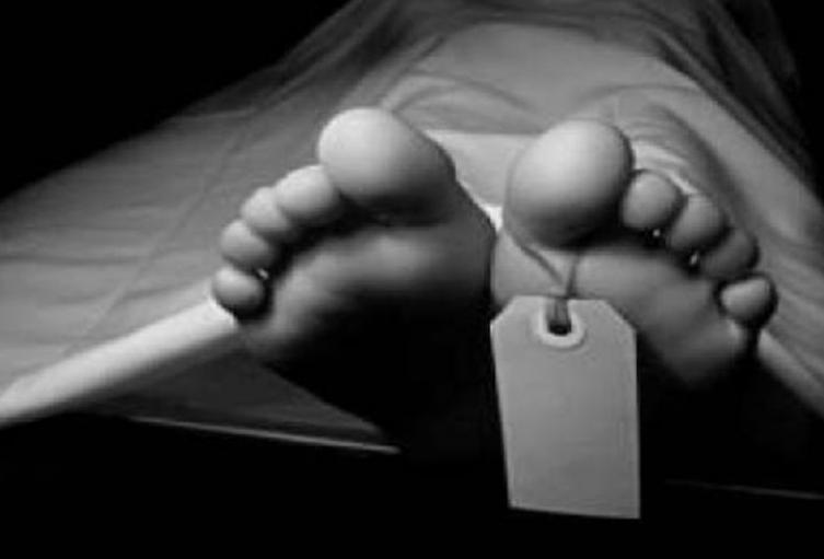 Murió en accidente de tránsito