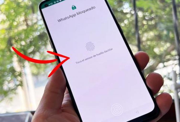 WhatsApp: conozca cómo ponerle contraseñas a sus conversaciones WhatsApp: conozca cómo ponerle contraseñas a sus conversaciones