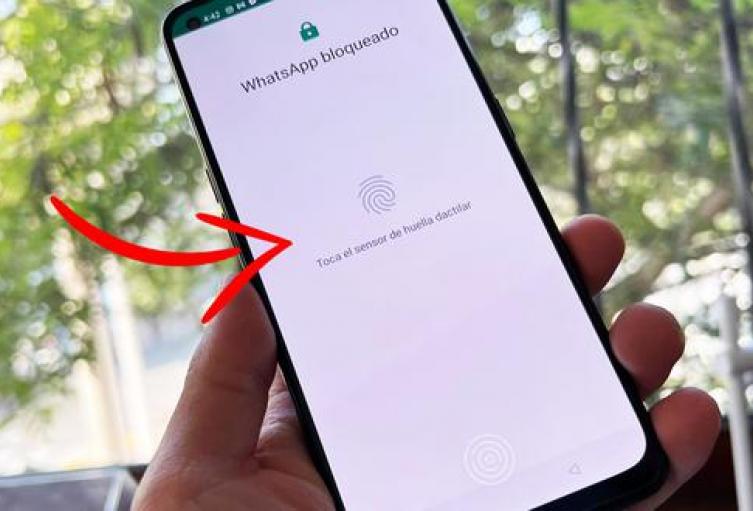 WhatsApp: conozca cómo ponerle contraseñas a sus conversaciones