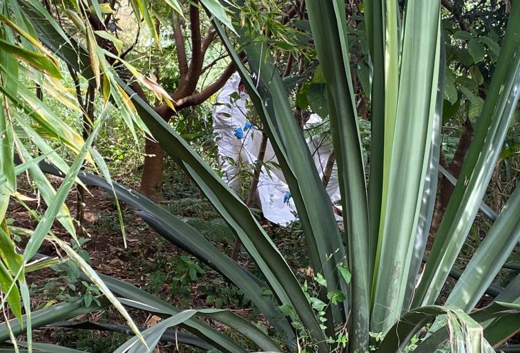 La víctima fue asesinada de varias puñaladas.