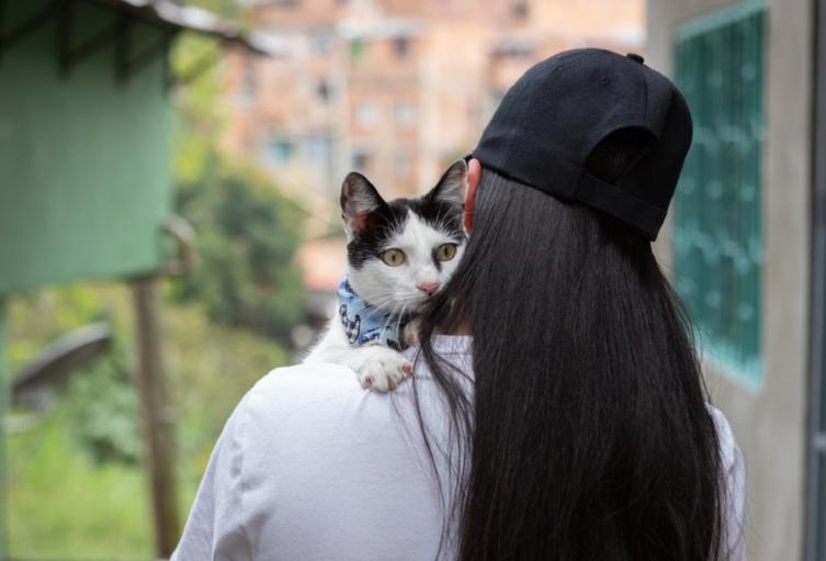 Vacunación de mascotas en Medellín