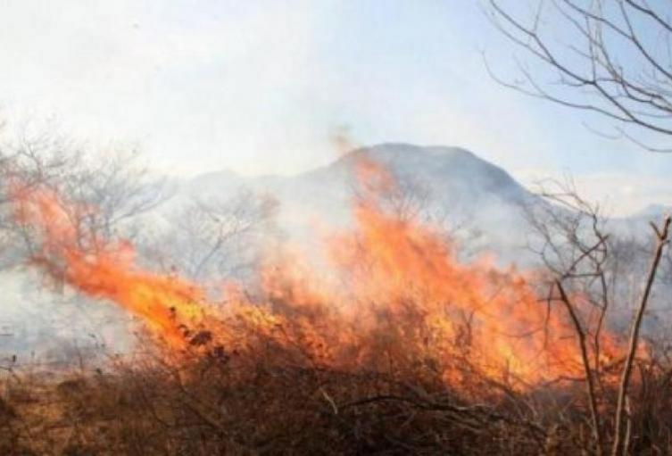 Incendio forestal