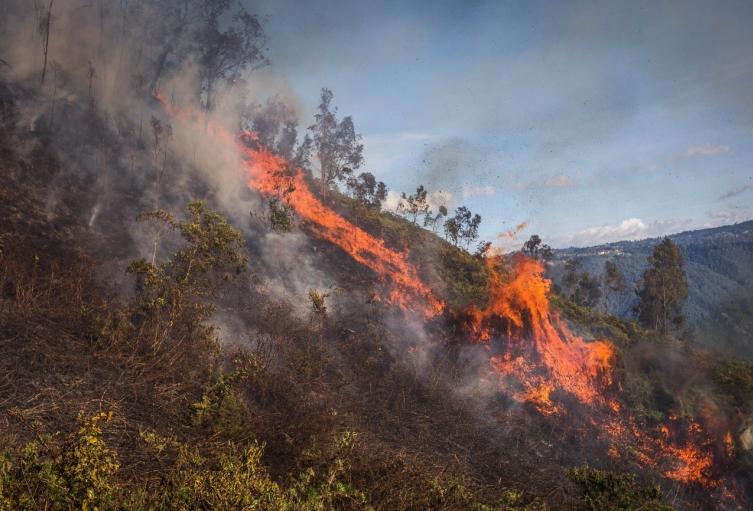 Incendios forestales en Medellín