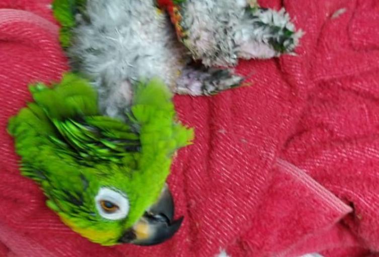 Lo mataron en presencia de su amigo en el oriente de Medellín