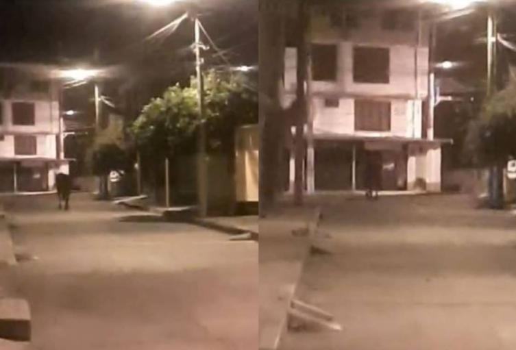 El caballo ‘fantasma’ que atemoriza a los habitantes de Ibagué 