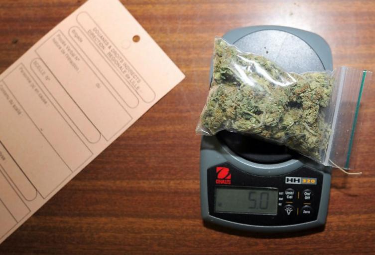 Marihuana. Foto ilustrativa