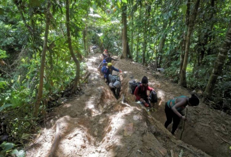 Selva del Darien entre Colombia y Panamá