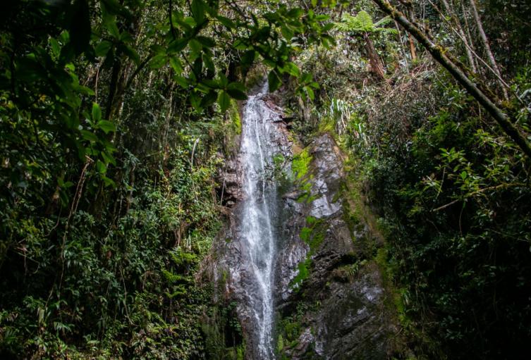 Fenómeno de El Niño: Recomendaciones para proteger los cerros tutelares en Medellín 
