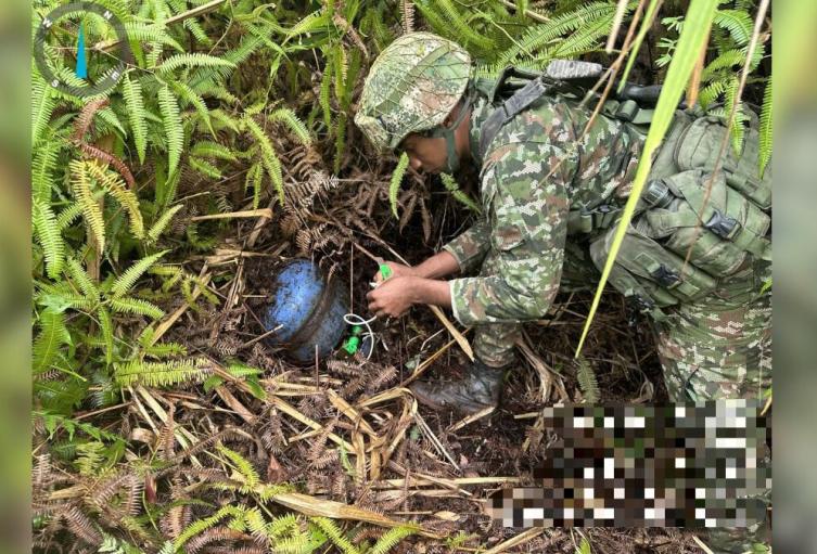 Violencia en Norte de Santander | Terrorismo | Ejército Nacional | Convención | Cúcuta | Agosto 2024