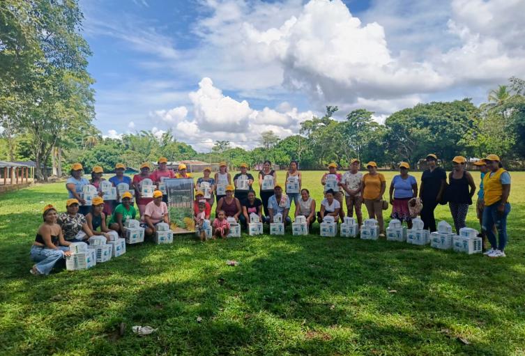 Producciones agrícolas en Antioquia 