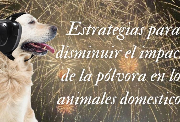 Estrategias para reducir el impacto de los sonidos de la pólvora en los animales