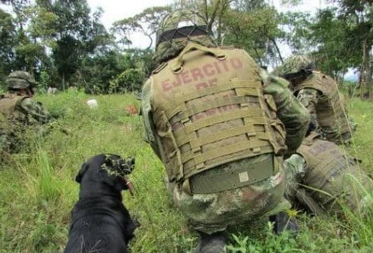 Operativos del Ejercito Nacional