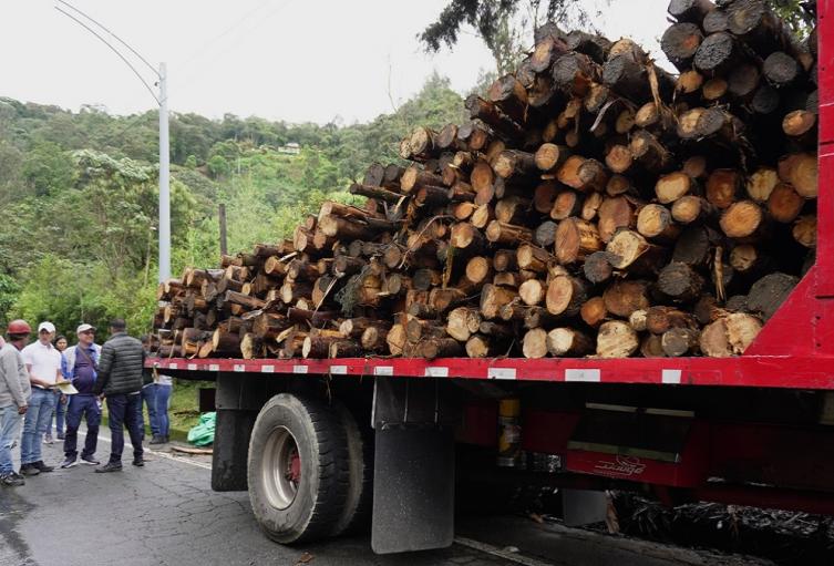 Madera incautada en Antioquia
