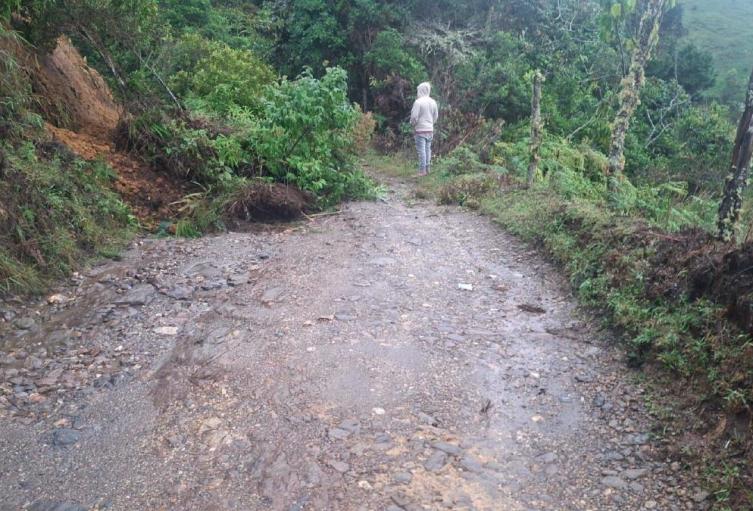 Afectación en vías de Abejorral, por lluvias