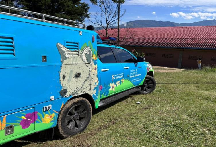Atención animales en albergues vereda Granizal, Bello