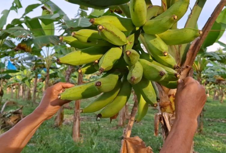 Inversión en el Urabá antioqueño 