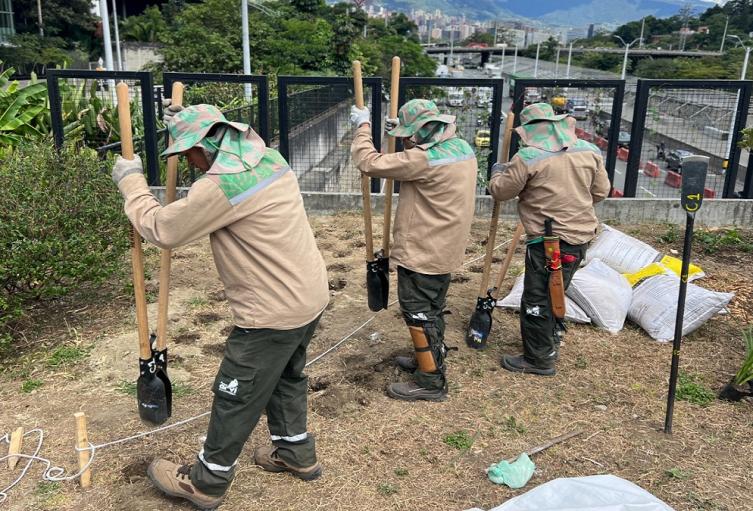 Intervención zonas verdes en Medellín