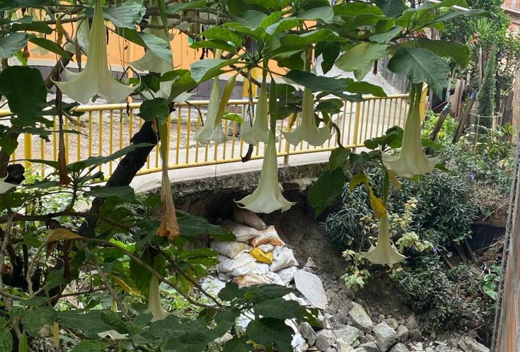 Andén en El Picacho está a punto de colapsar y pone en riesgo viviendas; piden intervención urgente