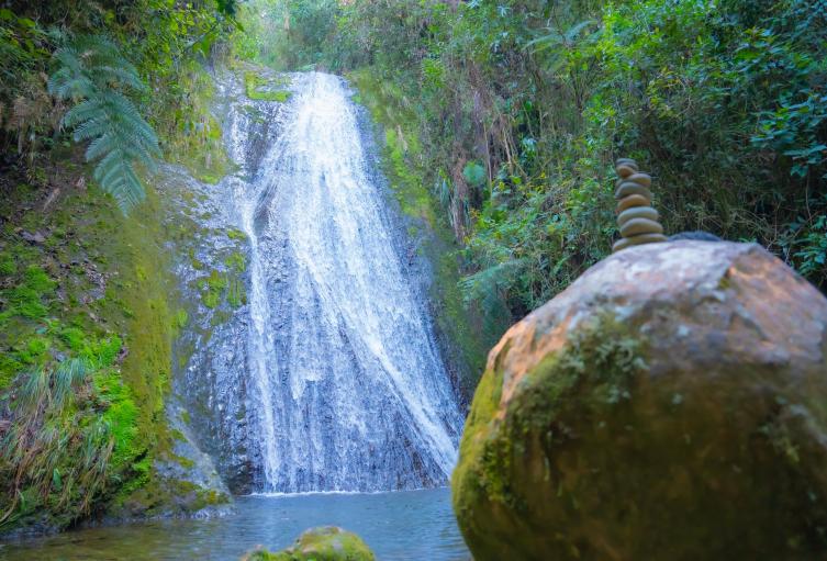 Ecosistemas en Colombia