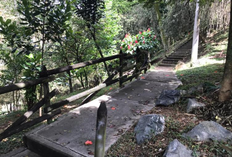 Referencia de homicidio de presunto ladrón 
