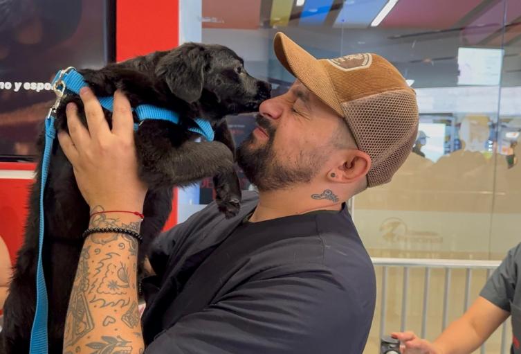 Adopción de mascotas en Medellín