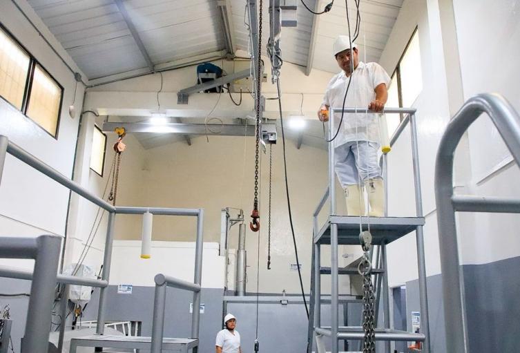 Planta de Beneficio Animal - Antioquia - Agos2025