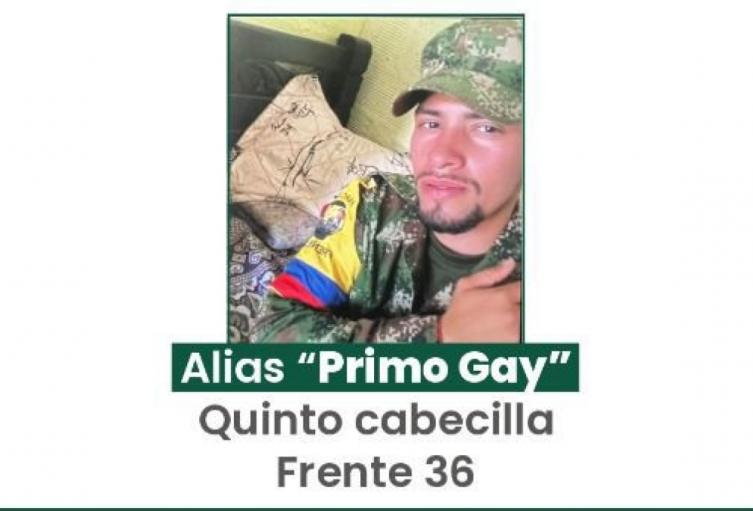 Recompensa por alias 'primo gay'