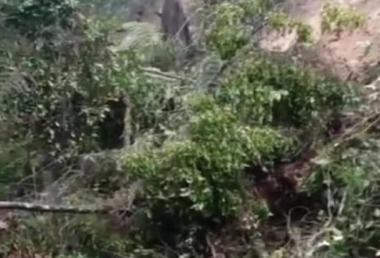Taponamiento de vías en Argelia, Antioquia
