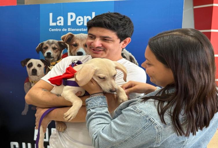“Adopta un Superhéroe”