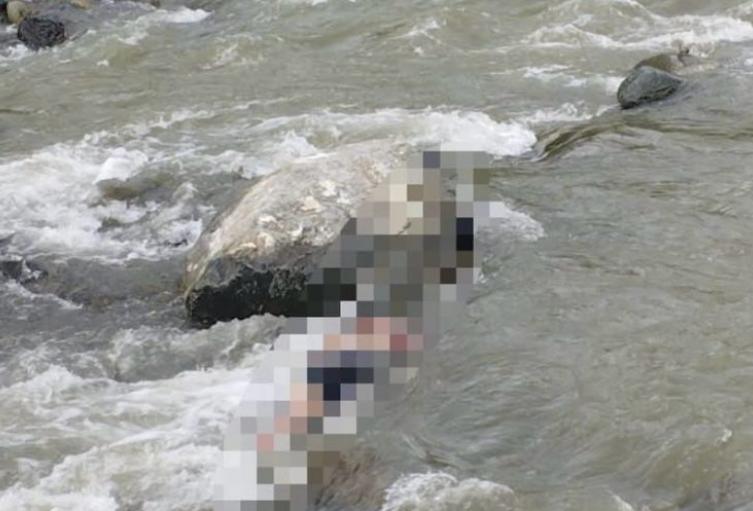 Joven de 20 años fue encontrado muerto en río de Santa Fe de Antioquia: autoridades esperan dictamen de Medicina Legal