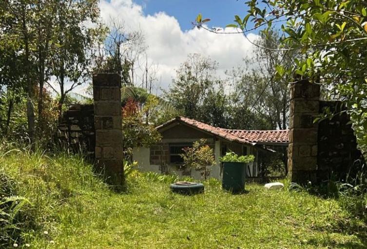 Masacre en Antioquia