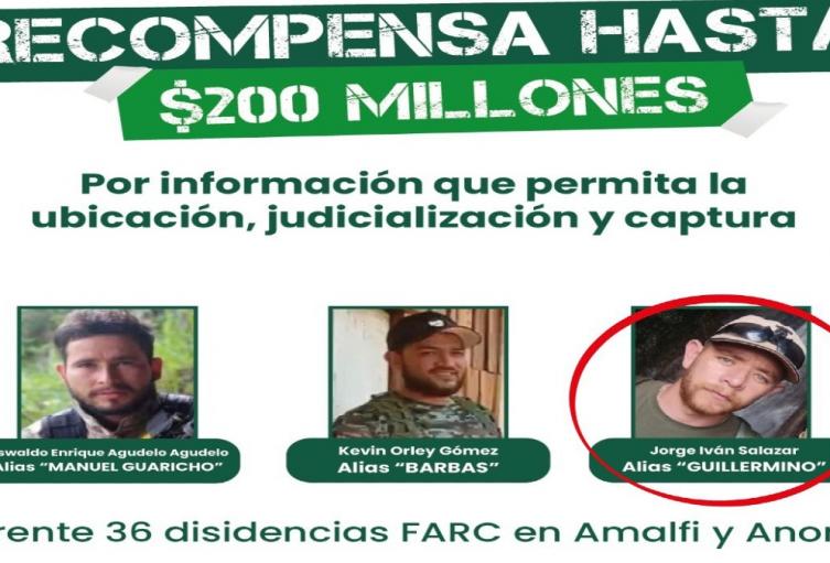 Dado de baja alias 'Guillermino'