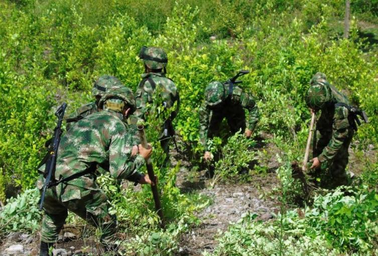 Antioquia lamentó la descertificación de Colombia contra su lucha contra las drogas