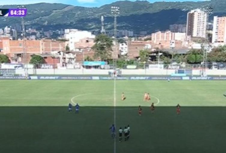 Partido entre Envigado y Millonarios se vio interrumpido por un panal de abejas