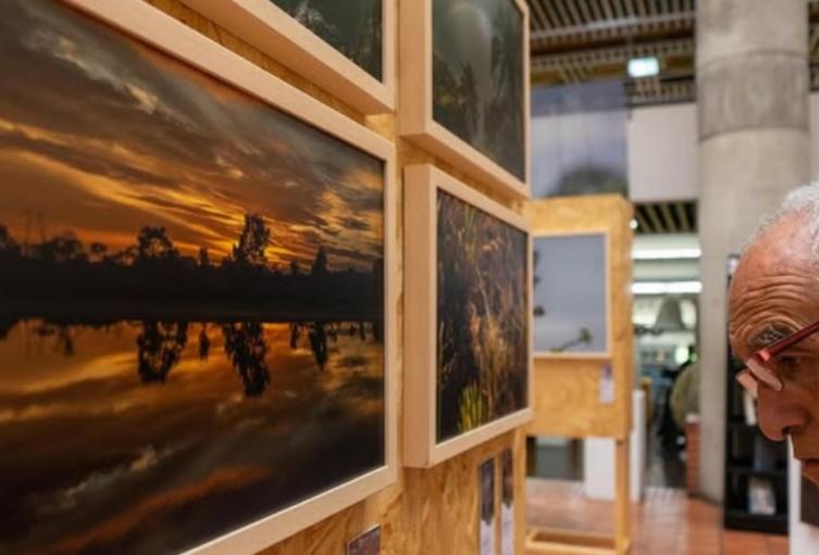 Fiestas del Libro Fiestas del Libro