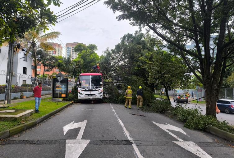 Árbol caído cerca del hospital Pablo Tobón 