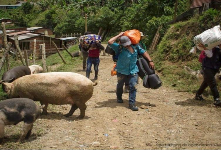 Desplazamientos en Antioquia