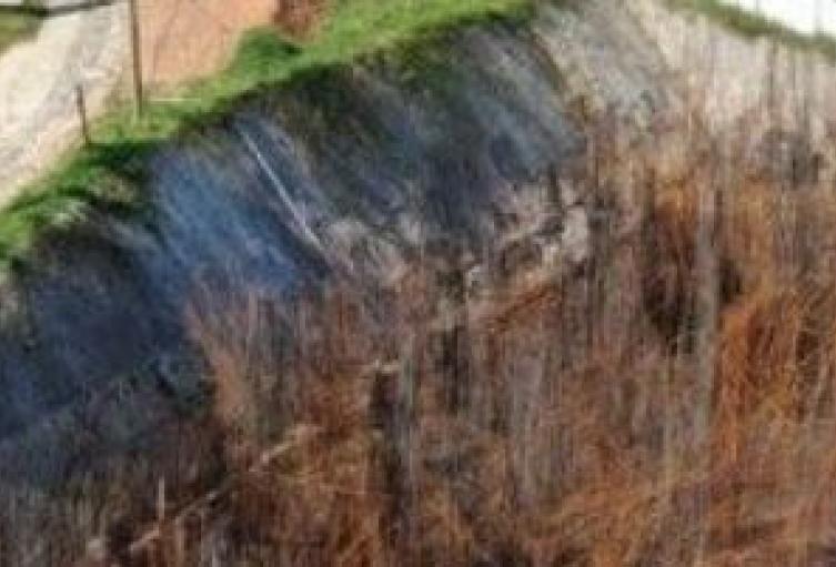 En Envigado, Fiduciaria deberá responder con su propio patrimonio por fraude en proyecto de vivienda 