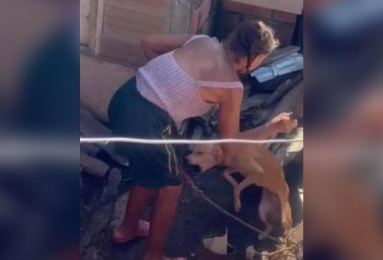 Indignación en Caucasia: Adulta mayor atacó con machete a su perro indefenso y amarrado 