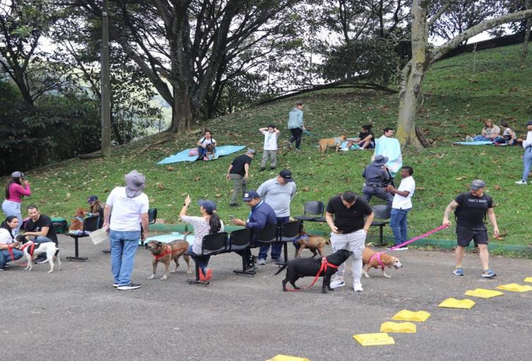 Los 33 perros más longevos del Centro de Bienestar Animal hicieron parte de una “Un paseo lleno de amor"