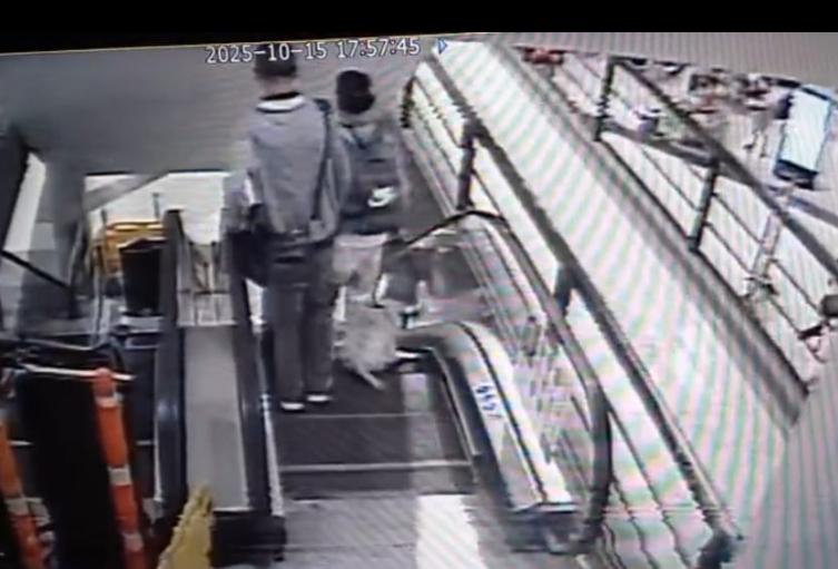 Perrito atrapado en un centro comercial 