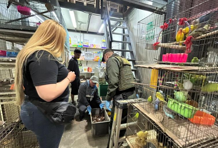 Operativo policial recupera 64 animales domésticos de La Plaza Minorista: Estaban hacinados, maltratados y con deficiente atención sanitaria