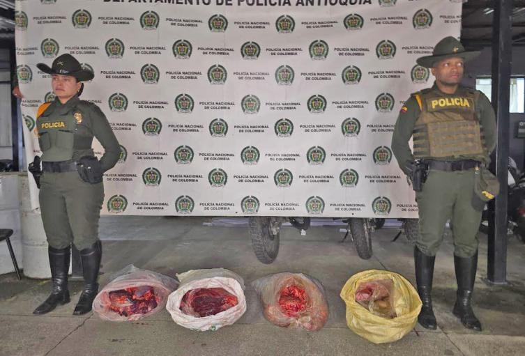 La policía decomisa 600 kilos de carne robada y 4.2 metros cúbicos de madera ilegal en operativo contra el crimen ambiental en Antioquia