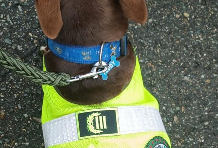 Imagen de referencia - Policía Antioquia -2025