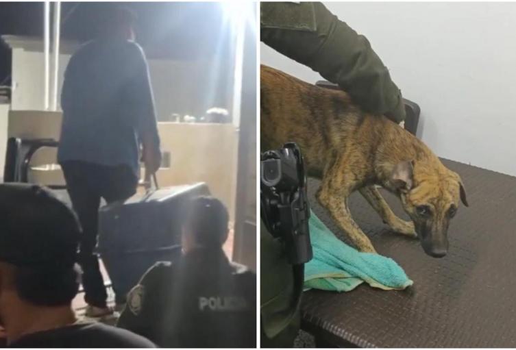 Entrega maltratador de animales