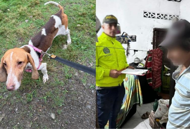 Investigan si adulto mayor habría abusado sexualmente de una canina en Dabeiba